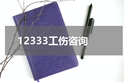 12333工伤咨询