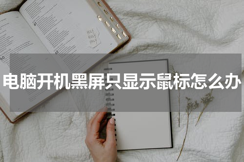 电脑开机黑屏只显示鼠标怎么办