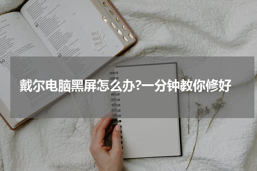 戴尔电脑黑屏怎么办?一分钟教你修好