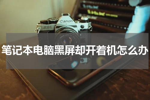 笔记本电脑黑屏却开着机怎么办
