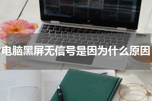 电脑黑屏无信号是因为什么原因