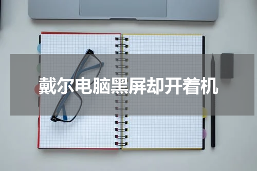 戴尔电脑黑屏却开着机
