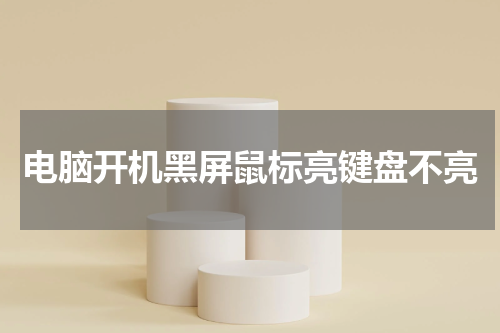 电脑开机黑屏鼠标亮键盘不亮