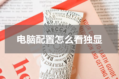 电脑配置怎么看独显