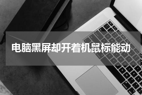 电脑黑屏却开着机鼠标能动