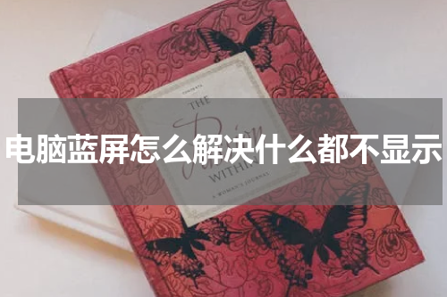 电脑蓝屏怎么解决什么都不显示