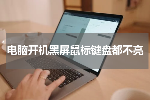电脑开机黑屏鼠标键盘都不亮