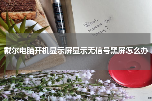 戴尔电脑开机显示屏显示无信号黑屏怎么办
