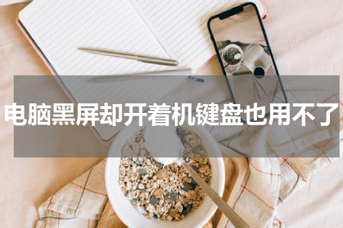 电脑黑屏却开着机键盘也用不了