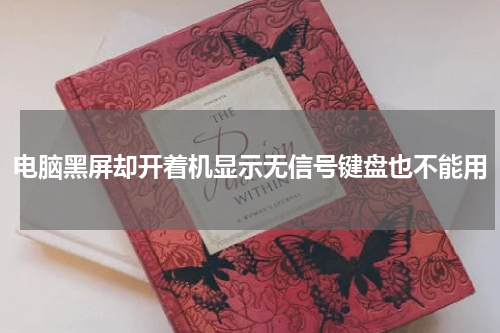 电脑黑屏却开着机显示无信号键盘也不能用