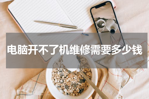 电脑开不了机维修需要多少钱