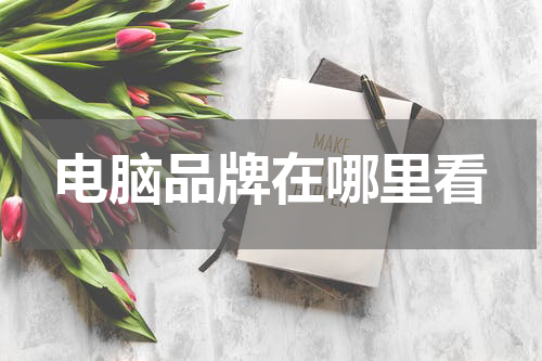 电脑品牌在哪里看
