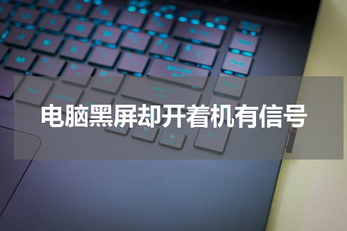 电脑黑屏却开着机有信号