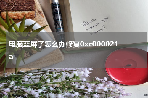 电脑蓝屏了怎么办修复0xc000021a