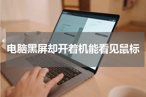 电脑黑屏却开着机能看见鼠标