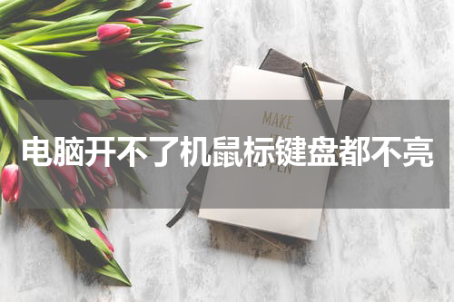 电脑开不了机鼠标键盘都不亮