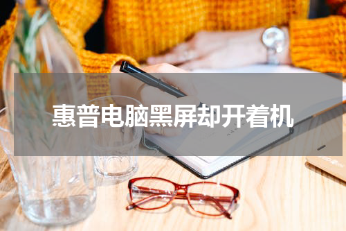 惠普电脑黑屏却开着机