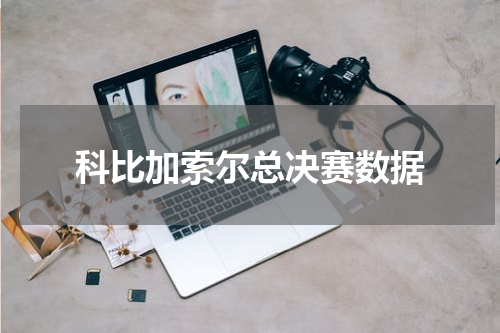 科比加索尔总决赛数据