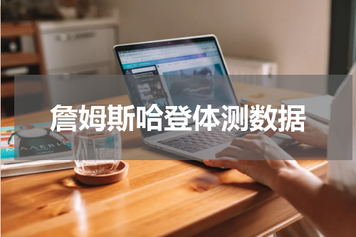 詹姆斯哈登体测数据
