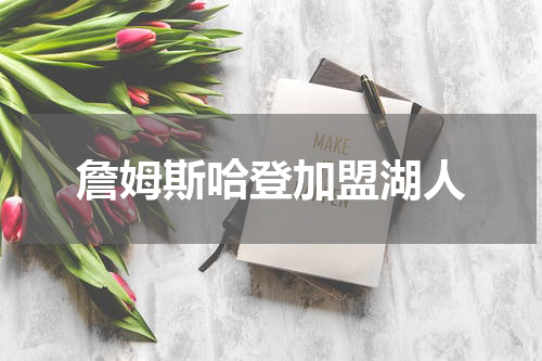 詹姆斯哈登加盟湖人