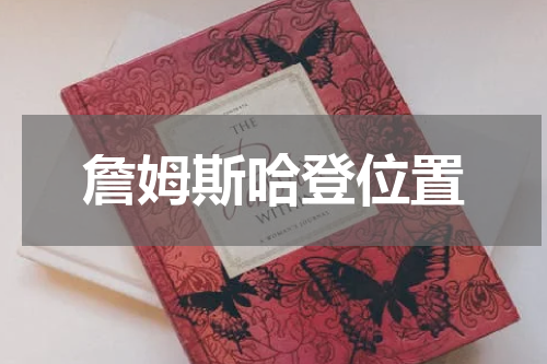 詹姆斯哈登位置