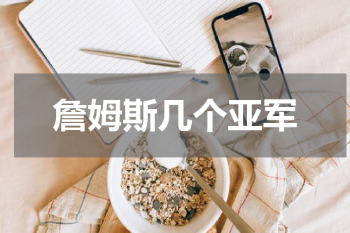 詹姆斯几个亚军