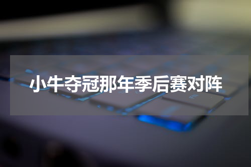 小牛夺冠那年季后赛对阵