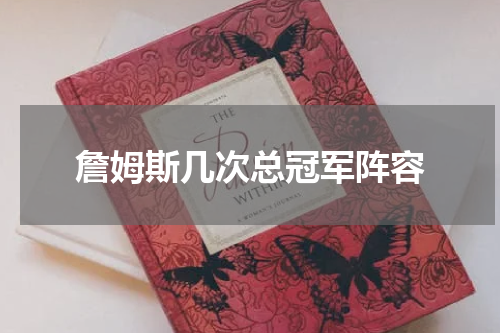詹姆斯几次总冠军阵容