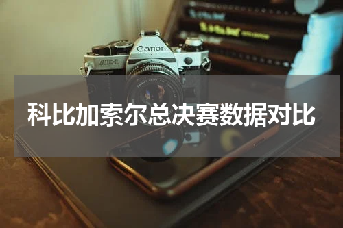 科比加索尔总决赛数据对比