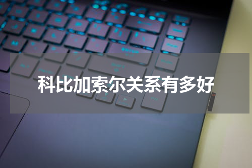 科比加索尔关系有多好