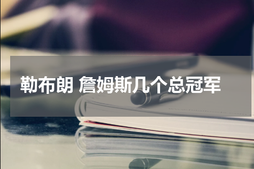 勒布朗 詹姆斯几个总冠军