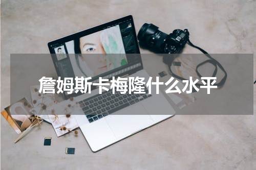 詹姆斯卡梅隆什么水平