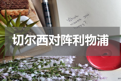 切尔西对阵利物浦