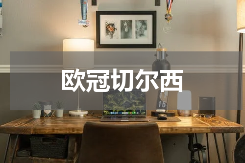 欧冠切尔西
