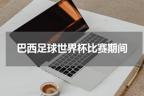 巴西足球世界杯比赛期间