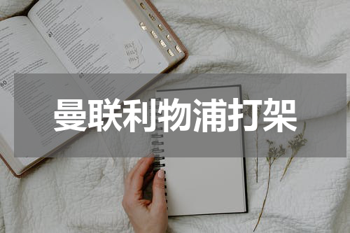 曼联利物浦打架