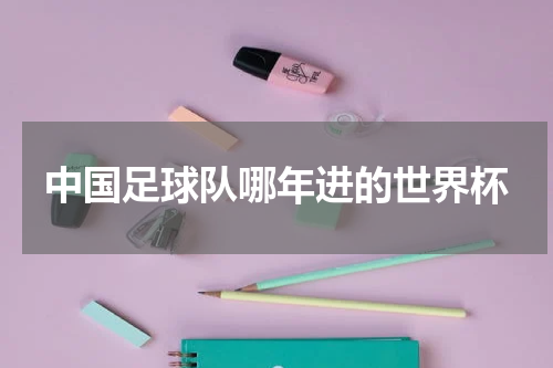 中国足球队哪年进的世界杯