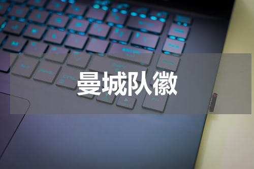 曼城队徽