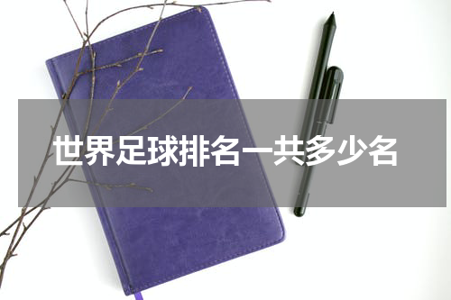 世界足球排名一共多少名