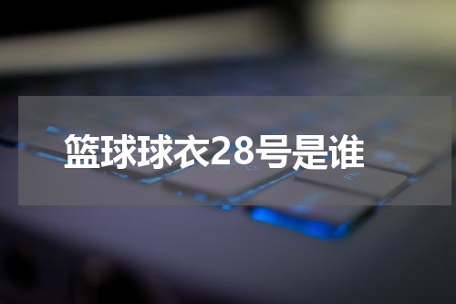 篮球球衣28号是谁