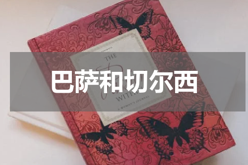 巴萨和切尔西