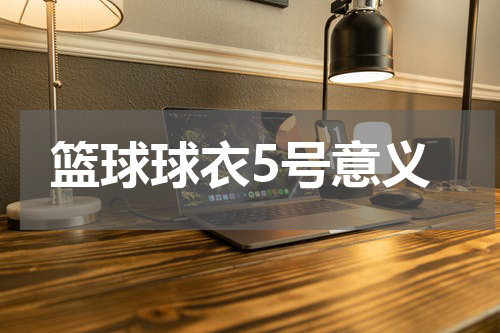 篮球球衣5号意义