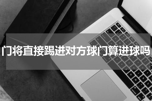 门将直接踢进对方球门算进球吗