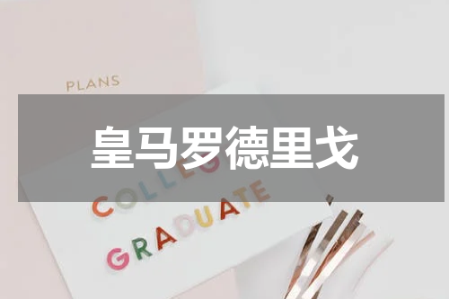 皇马罗德里戈
