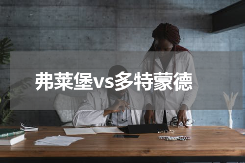弗莱堡vs多特蒙德