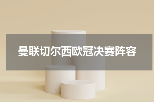 曼联切尔西欧冠决赛阵容