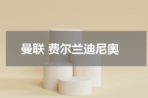 曼联 费尔兰迪尼奥