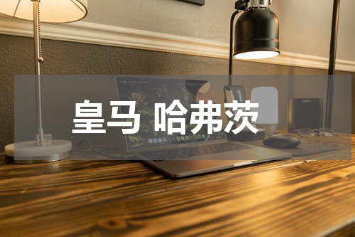 皇马 哈弗茨