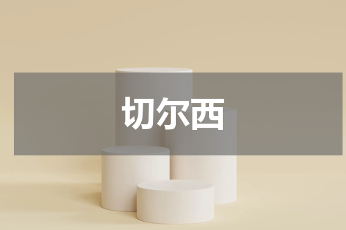 切尔西