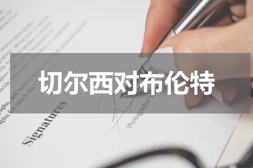 切尔西对布伦特